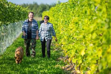 Фото номера Дом для отпуска Дома для отпуска Winnica Avra г. Wola 49